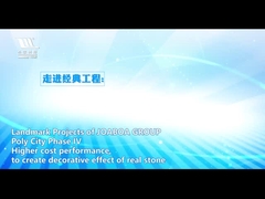 陶磁器の表面のJoaboaの装飾的な及び省エネの統合されたクラッディング システム
